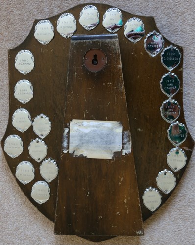 Veterans shield back.jpg